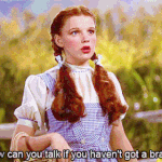 ㅁㅊ gl을 <b>백합</b>이라고 말하는 이유가