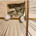 [조언부탁해] 고딩언니,<b>미대</b>생 들어와죠 ㅠㅠ