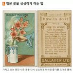 [드루와] 얘들아 인<b>아웃</b>라인이 뭐야??(쌍커풀)