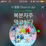 [강다니엘] 벽반에 짹 실트 상황(<b>feat</b>. 복분자주)