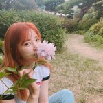 [댓글부탁해] <b>만화</b>로보니까 더 재밌는 애니??