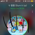 [강다니엘] <b>셀럽</b>스틱 인별 패셔니스타어워즈,#라이징스타-강다니엘