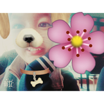 [방탄소년단] Dear K-ARMY