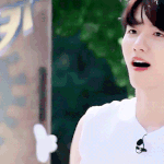 [댓글부탁해] 주관적 엑소,방탄,워너원 <b>덕후몰이</b> 매력상들