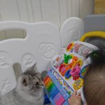 [고양이] 아기와 냐옹이
