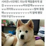 담배피는척 할건데 이름알려<b>주</b><b>셈</b>