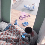 [박우진] 와-나완 고 진짜 <b>우진</b>이 계속 굴러만 다니는듯