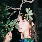 [모두드루와] 오늘자 티저로 심장폭행한 레드벨벳 아이린