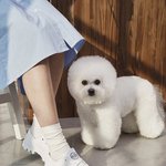 교복에 이 <b>신발</b> 어때??