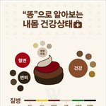 쉐딩<b>입문</b>은 스틱이 나아 가루가 나아