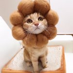 [댓글부탁해] <b>공학</b>갈까 여고갈까~!~!