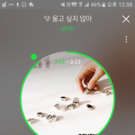 [세븐틴] <b>버논</b>이