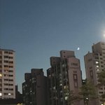 [댓글부탁해] <b>플</b>미충들 있자나