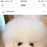 [드루와] 으 너무 귀여워 토 할거같아