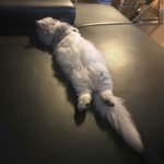 <b>믹스</b>나인 투표 픽 남는데 두 명만