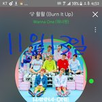 [워너원] 스밍 100회, 200회 이용권 있는 너블들은