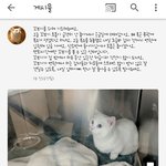 울 꼬비 어떡해 ㅜ ㅜ 울 꼬부기 ㅜ ㅜ