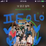 [워너원] 와이엠씨 알다가도 모르겠다