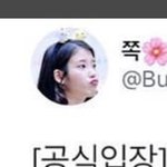 [아이유] 징쨩 <b>이사진</b> 원본 있는사람??ㅜㅜ