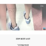 이사건 돌은거아니냐??????