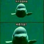 얘들아 다이소 꿀<b>템</b> <b>추천</b>하고 가주라!!
