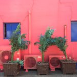 [일상사진] 갬성갬성 사진 올리신 분 보고 나도 따라 올리는 갬성갬성...