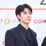 [세훈] 171115 <b>AAA</b>시상식 레드카펫 기사사진