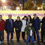 고양이 유기 학대 도살 금지법 <b>제정</b>을 위한 목요집회에 참여해주십시오...