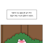 추반하자 <b>정상등교</b>다 아니다