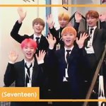 [세븐틴] 애들 <b>당고</b> 나오나??!