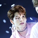 워너원 이번 컨셉 누구랑 제일 <b>찰떡</b>인거같음?