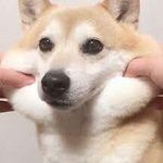 [댓글부탁해] 텀블러 예전에 안전<b>모드</b>풀면 됐는데
