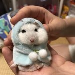 [댓글부탁해] 나 과민성 대장증후군 <b>개심</b>한데ㅠ수능걱정된다