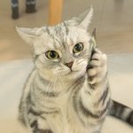 직장인이시면서 '<b>부업</b>'도 하시는 분?