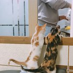 [댓글부탁해] 음악사이트 줄세우기에 대해서 어떻게 생각해?