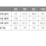폴11햄 구스다웅 패딩입는애들아