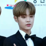 연예인 덕질 멘탈 관리