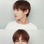 어<b>그로엔</b> 어그로로 맞대응 해줘야 않겠냐