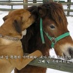 [EXO] 뫄뫄 환장한다 저 <b>꼴통</b>을 어쩌면 좋냐