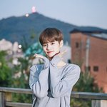[워너원] 니네가 보기에도 이대휘 게이 같아보여?