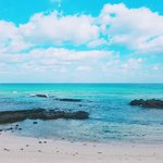 [드루와] 나 인생사진찍음 <b>feat</b>. 제주 +)추가