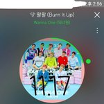 [강다니엘] 워/너/원/고 냥집사.<b>gif</b>