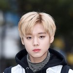 [드루와] 박지훈 기사 사진 왜<b>이럼</b>??::