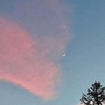 [댓글부탁해] 시험 <b>기간</b> <b>때</b> 어떻게 공부하는지 자세히 적고 가자...