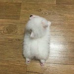 [댓글부탁해] 짝남 좋페 못누르겠어ㅠㅠㅠㅠㅠㅠ