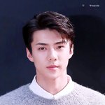 [세훈] 171116 홍콩 몽클레르 <b>행사</b> 고화질16