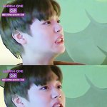 [박지훈] 얘 정체가 뭐야?