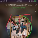 [워너원] 우리원 옹녤환 축하해~