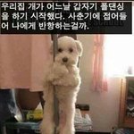 160이 <b>기장</b> 100 입으면