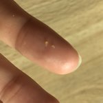 [드루와] 왕피지 나옴